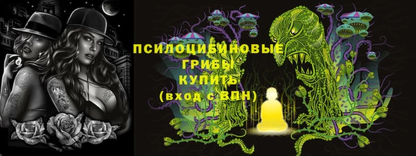 a pvp Аркадак