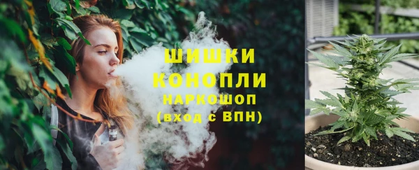трава Арсеньев
