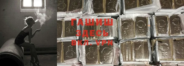 a pvp Аркадак