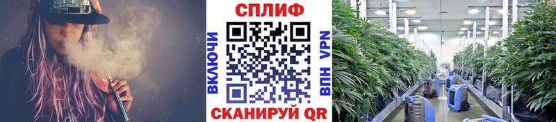 Купить где  Чулым  Каннабис марихуана 